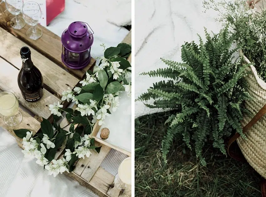 evjf boheme nature bordeaux