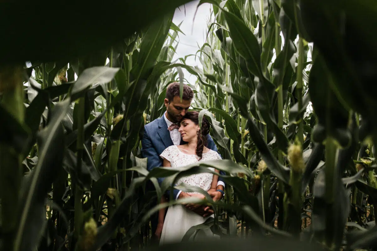 couple posant dans un champ de maïs. photographe mariage bretagne
