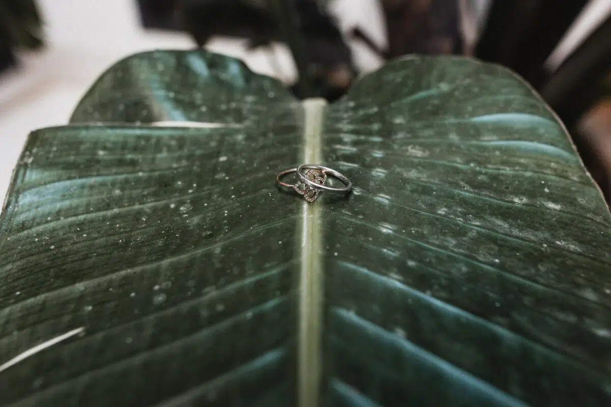 Alliances de mariage posées sur une grande feuille tropicale – détail bohème, mariage dans la médina au Maroc.