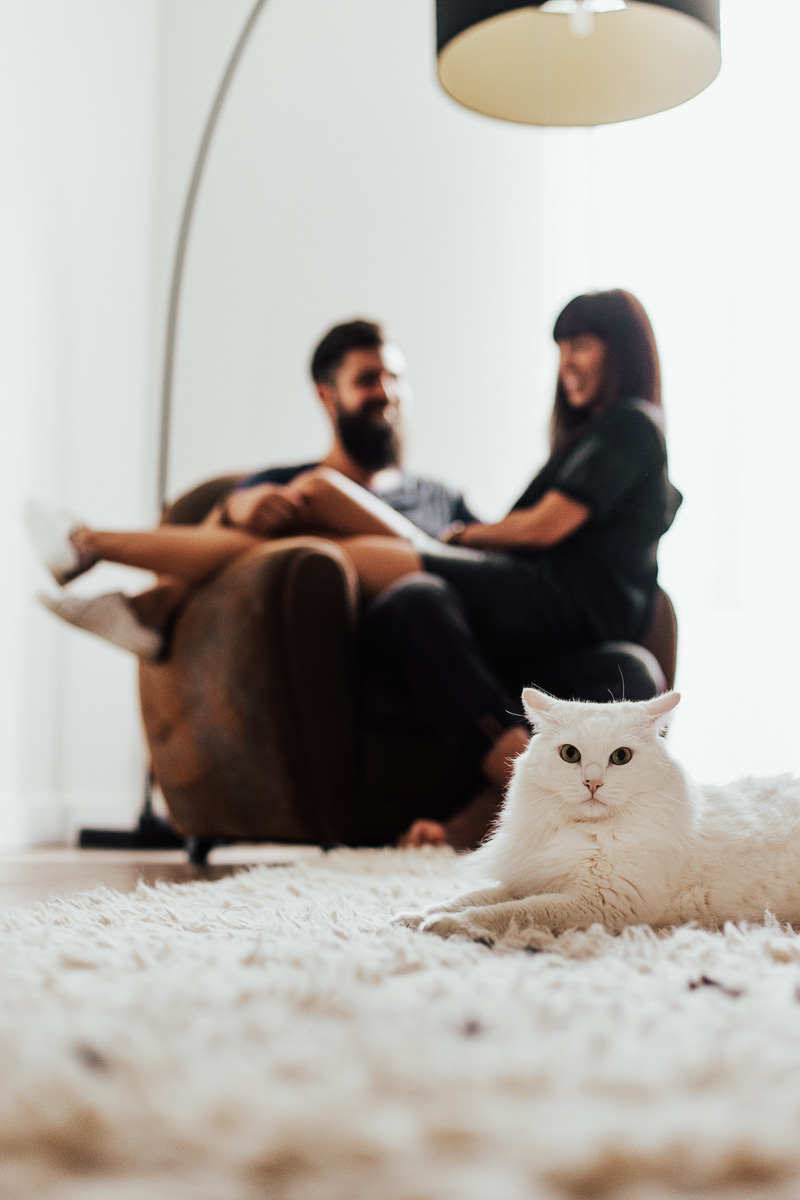 couple assis dans un fauteuil en arriere plan et chat blanc devant au premier plan sous la table basse du salon