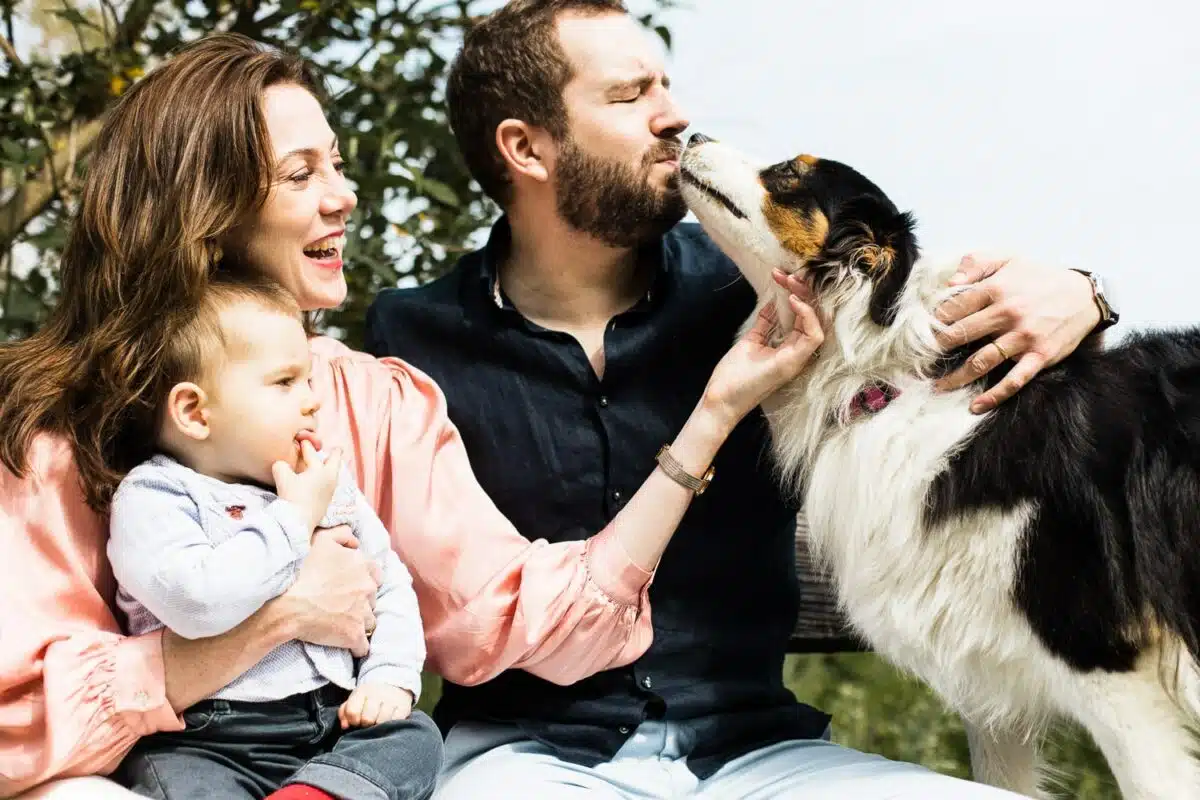 Portrait famille : le chien lèche le père, rires de la mère et de l’enfant.