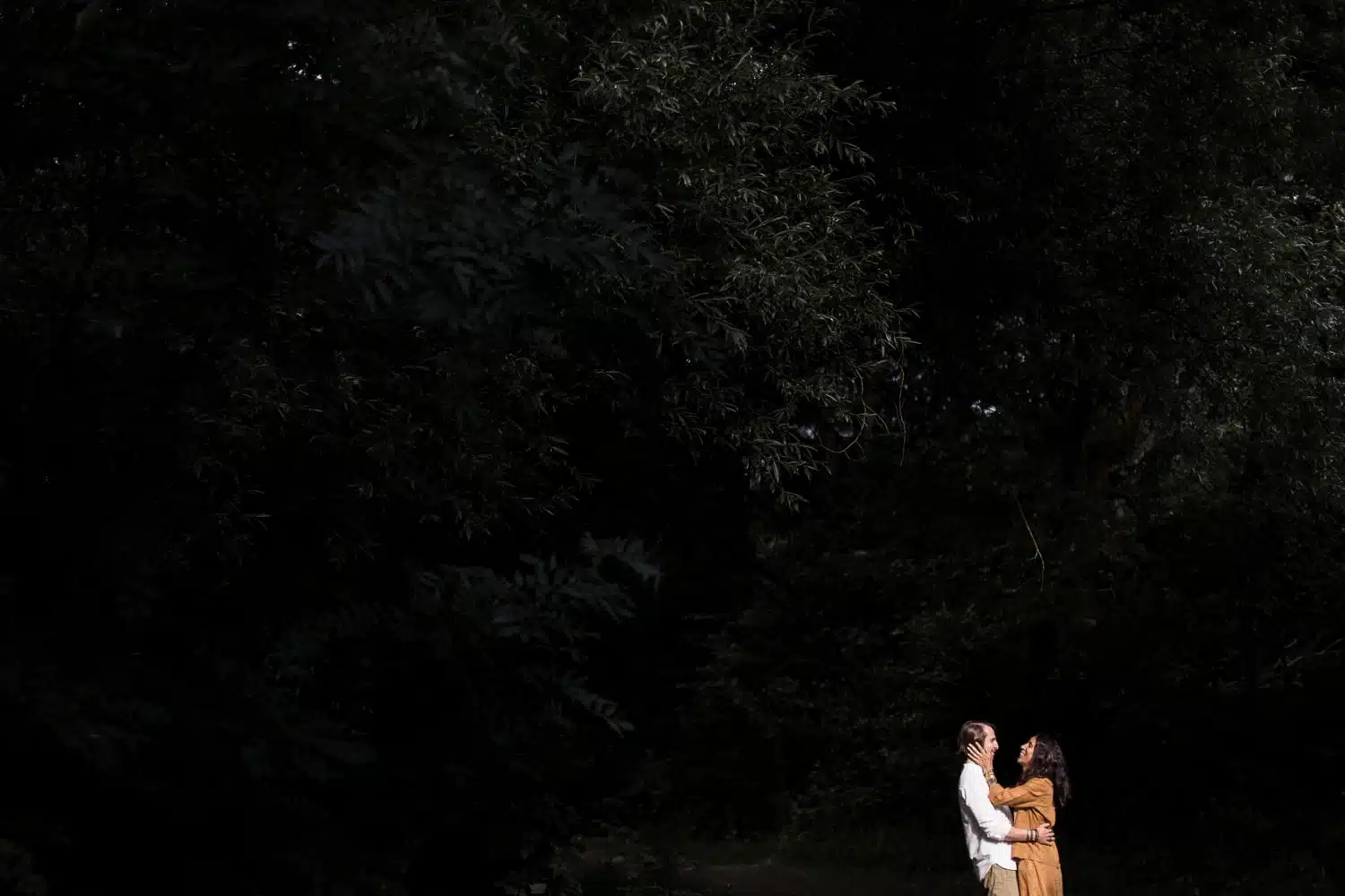 couple qui s'enlace dans une foret en vendée.