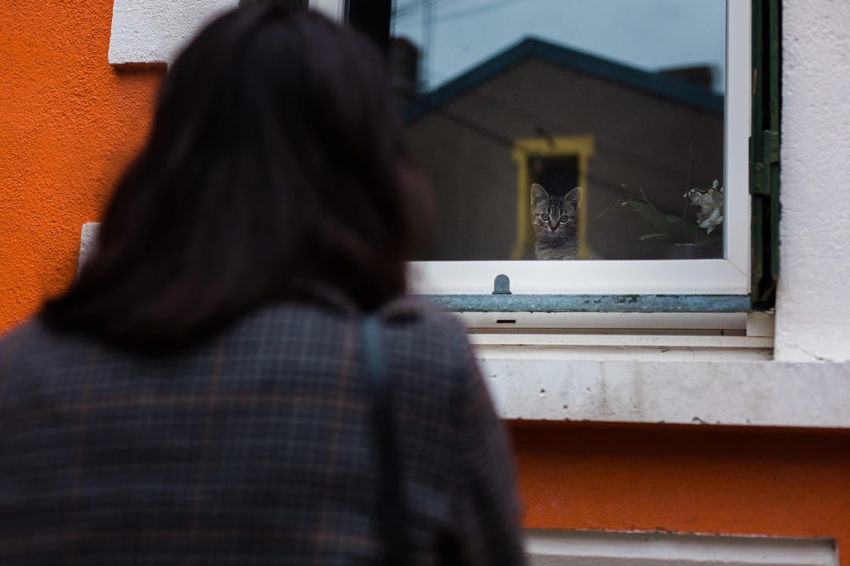 Moment spontané pendant une séance photo de couple à Trentemoult, une femme regarde un chat par la fenêtre d’une maison colorée.